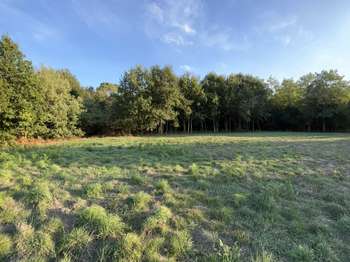 Vente Terrain 1266 m&sup2;Challans