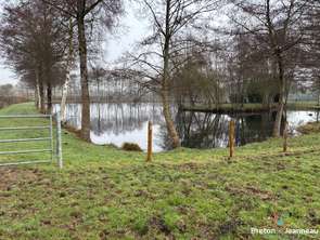 Vente Terrain 22200 m&sup2;Châlons-du-Maine