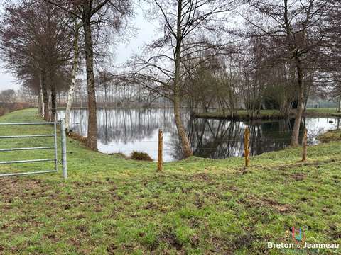 Vente de terrain Châlons-du-Maine 53