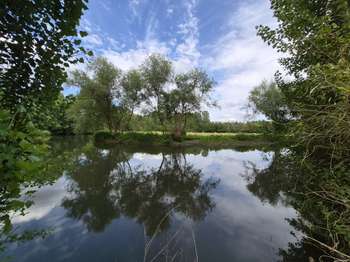 Vente de terrain Champagné 72