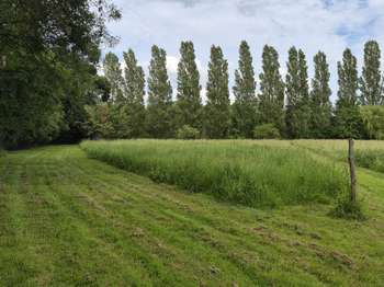 Vente de terrain