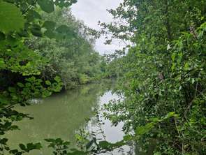 Vente Terrain 5495 m&sup2;Champagné