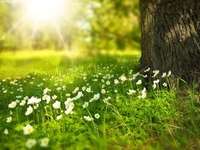 Vente de terrain Vente de terrain