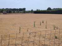 Vente de terrain