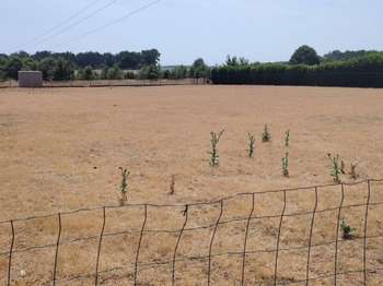 Vente Terrain 1579 m&sup2;Champigny-sur-Veude