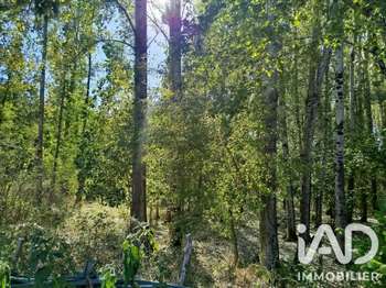 Vente Terrain 11930 m&sup2;Champigny-sur-Veude