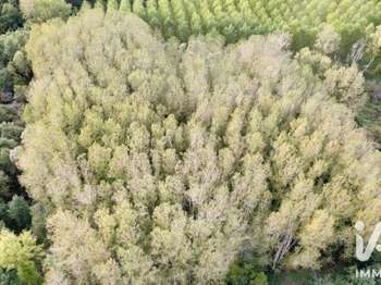 Vente Terrain 11930 m&sup2;Champigny-sur-Veude