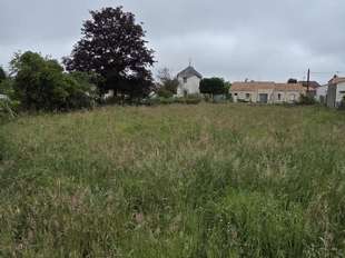 Photo Vente de terrain Champtoceaux