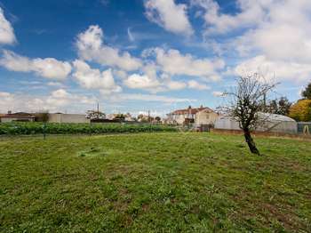 Photo Vente de terrain Champtoceaux