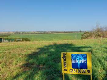 Vente de terrain