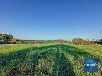 Vente de terrain Chantonnay 85