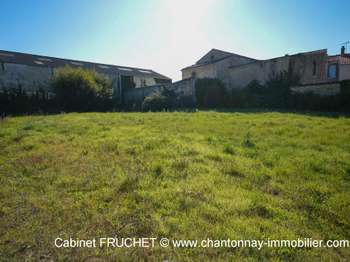 Vente de terrain Chantonnay 85