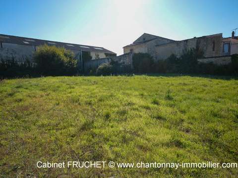 Vente de terrain Chantonnay 85