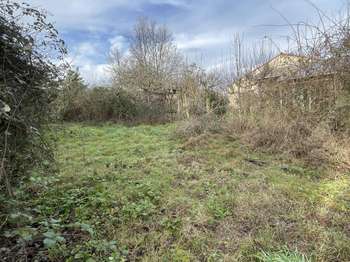Vente de terrain Chantonnay 85