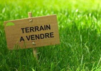 Vente de terrain Chantonnay 85
