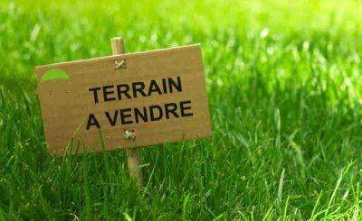 Vente de terrain Chantonnay 85