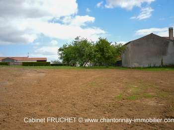 Vente de terrain Chantonnay 85