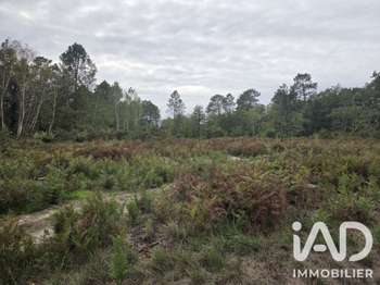 Vente Terrain 3780 m&sup2;Chardes