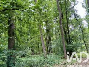 Vente Terrain 133671 m&sup2;Charenton-du-Cher