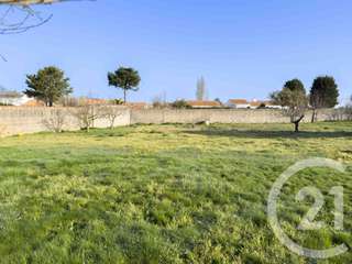 Vente de terrain