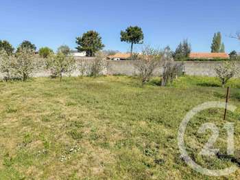 Vente de terrain