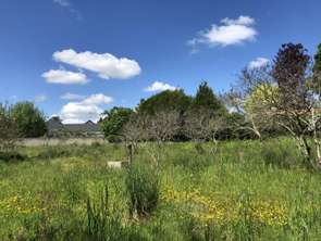 Vente Terrain 2000 m&sup2;Château-Gontier