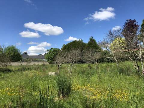 Vente de terrain Château-Gontier 53
