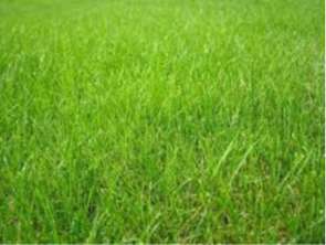 Vente Terrain 736 m&sup2;Châteaubourg