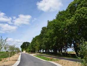 Vente Terrain 297 m&sup2;Châteaubriant