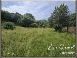 Vente de terrain