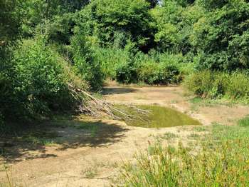 Vente de terrain Châteaubriant Centre 44
