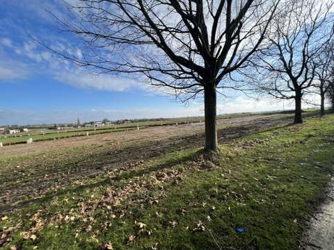 Vente de terrain