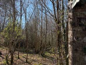Vente Terrain 2800 m&sup2;Châteauneuf
