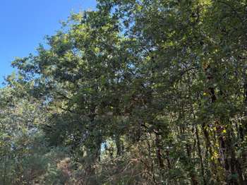 Vente Terrain 2800 m&sup2;Châteauneuf