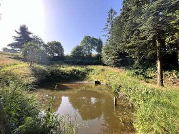 Vente Terrain 38444 m&sup2;Châteauneuf-du-Faou