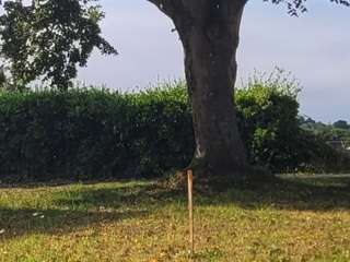 Vente de terrain
