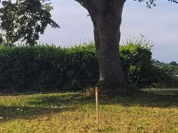 Vente Terrain 365 m&sup2;Châtelaudren
