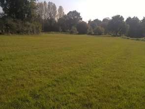 Vente TerrainChauvigné