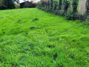 Vente Terrain 500 m&sup2;Chemille