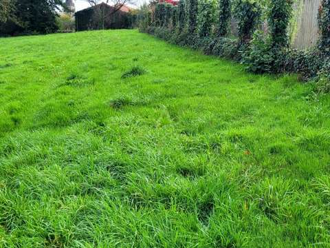 Vente de terrain Chemille 49