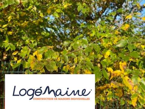 Vente de terrain Chemille 49