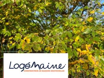 Vente Terrain 515 m&sup2;Chemille