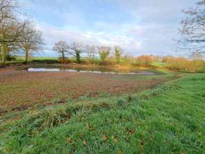 Vente Terrain 12100 m&sup2;Chérancé