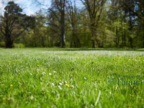 Vente Terrain 698 m&sup2;Cholet