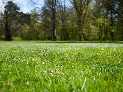 Vente de terrain Cholet 49