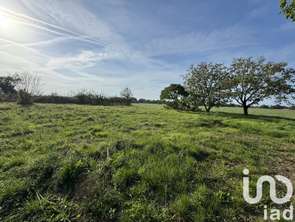 Vente Terrain 1500 m&sup2;Chouzé-sur-Loire