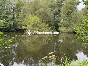 Vente Terrain 8167 m&sup2;Ciral