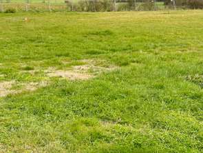 Vente Terrain 700 m&sup2;Ciré-d'Aunis