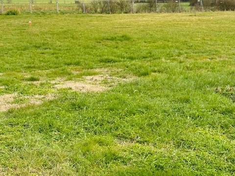 Vente de terrain Ciré-d'Aunis 17