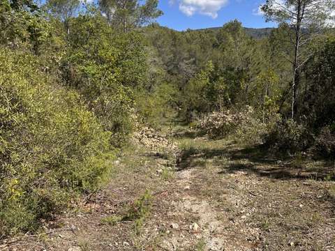 Vente de terrain